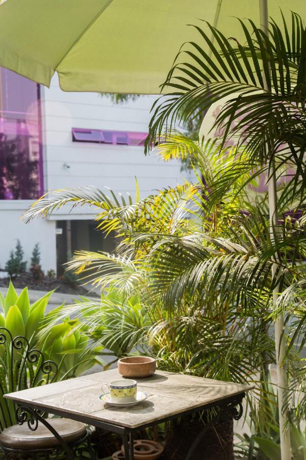Hostel Spring City Medellín Dış mekan fotoğraf